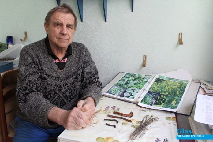 franjo palfi