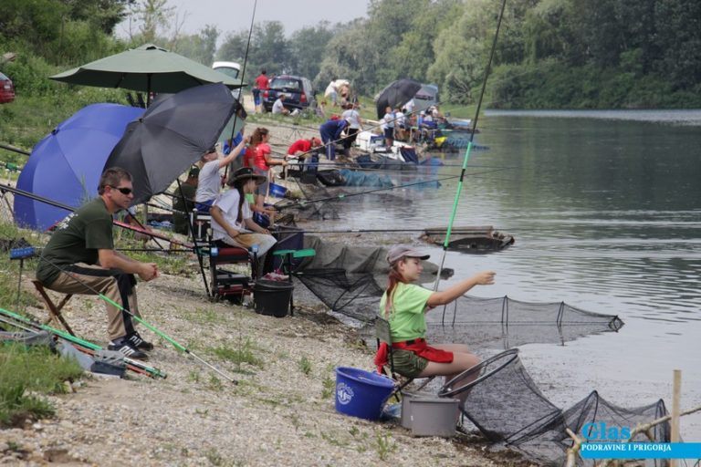 Somovi stokilaši, šarani i amuri, prilika su za razvoj ozbiljnog turizma
