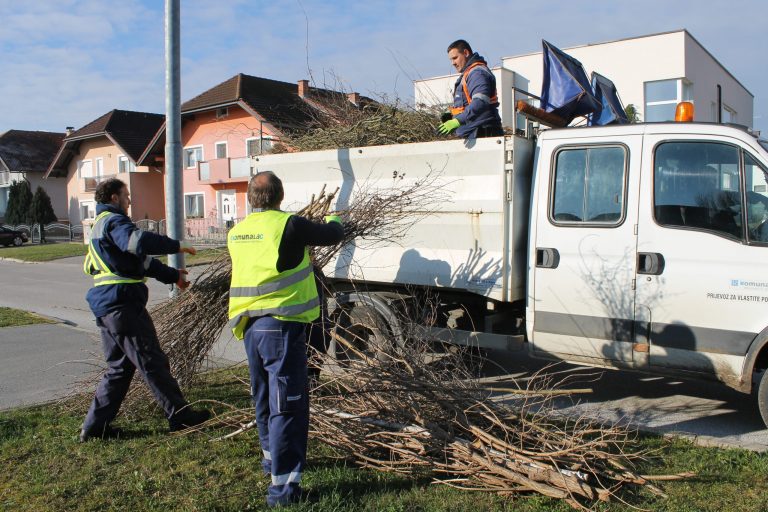 Uskoro kreće odvoz granja u Koprivnici, evo i do kada će trajati
