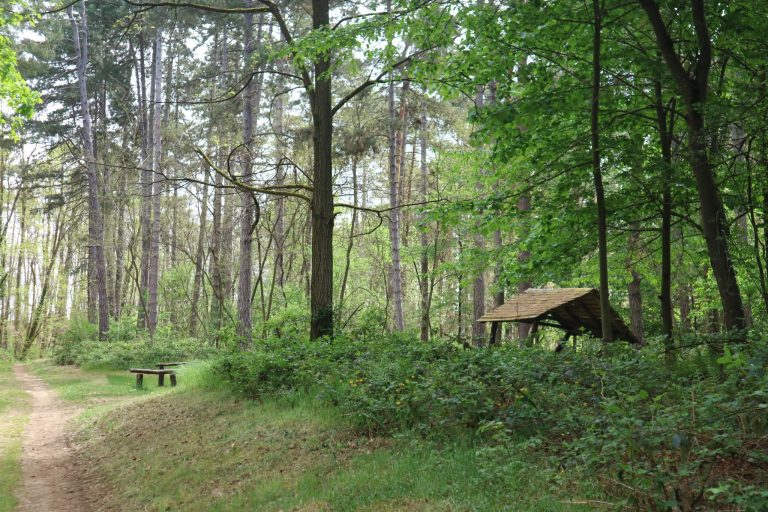 Zelena čistka u Koprivnici, evo svih detalja velike akcije
