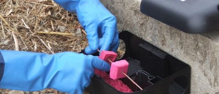 Danas započinje deratizacija na području Općine Ferdinandovac
