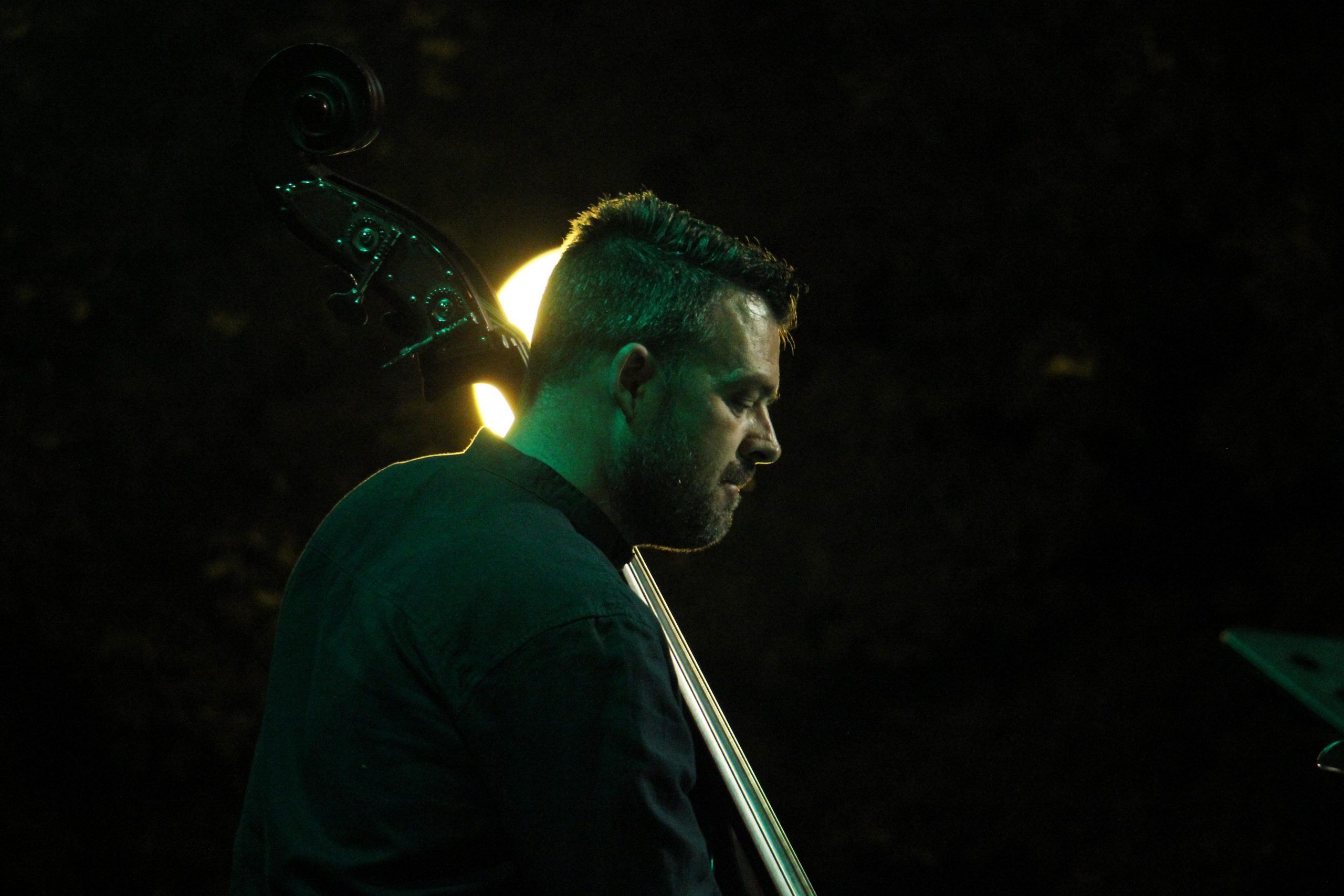 Radojka Šverko//FOTO: IVAN GROBENSKI