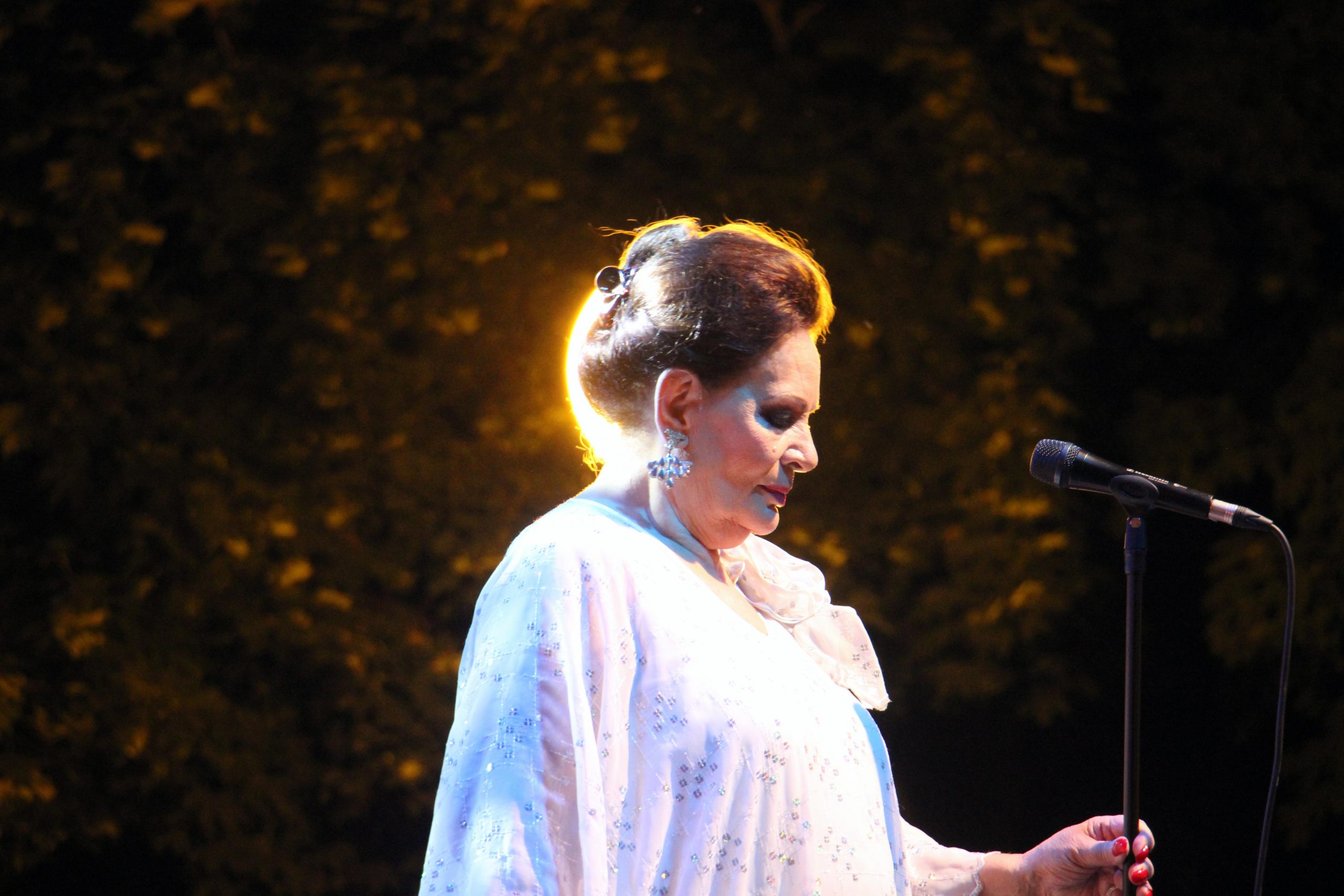 Radojka Šverko//FOTO: IVAN GROBENSKI