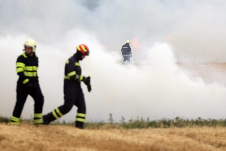 Planirate spaljivati otpad, dobro razmislite jer kazne su…