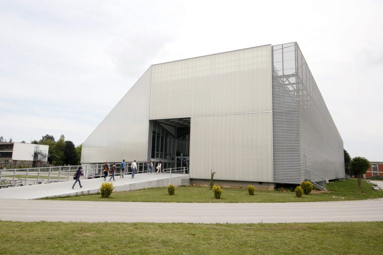 Gimnazija Fran Galović organizira dvodnevni Festival jezika