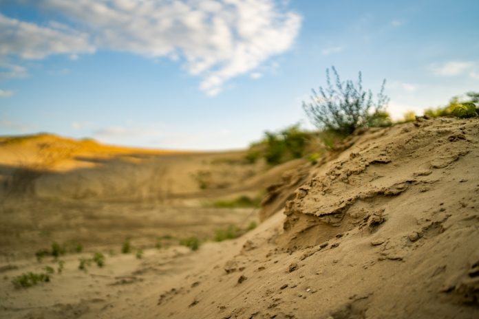 Đurđevački pijesci//ARHIVA