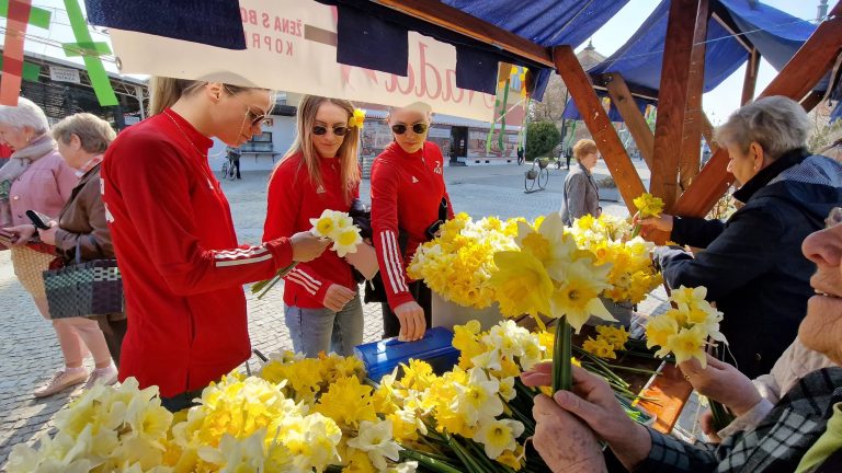 Udruge žena najavile ‘Dan narcisa’ u sva tri grada