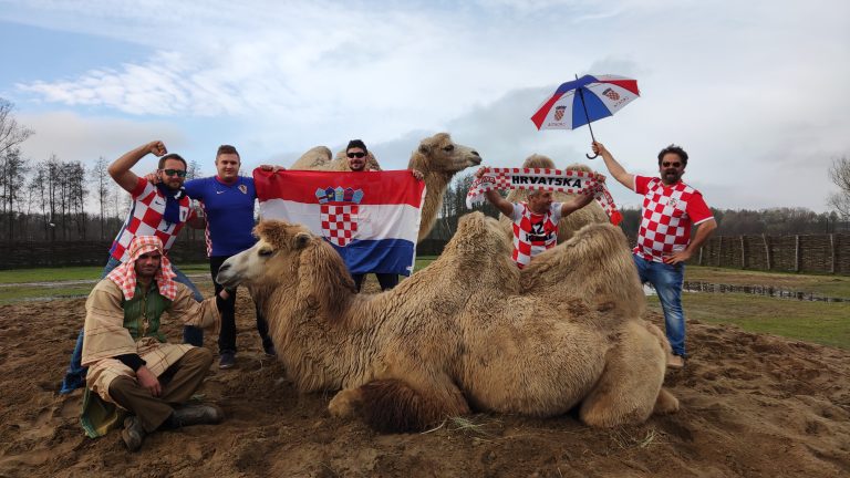 VIDEO Dok su neki u Kataru, drugi bodre Vatrene uz đurđevačke deve