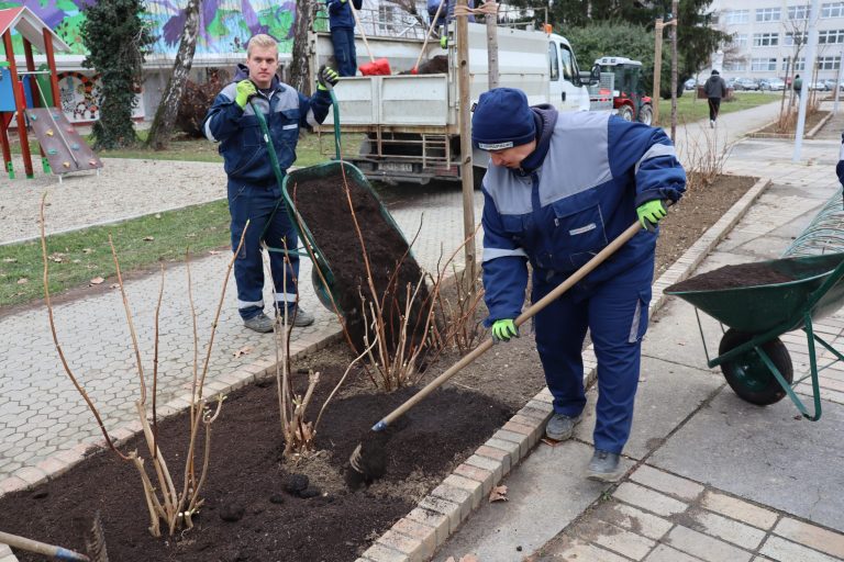 Trešnje iz Gažijeve presađene u Opatičku ulicu