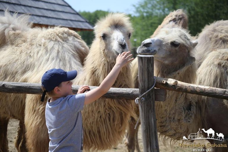 Đurđevac lani posjetilo 10 posto više turista