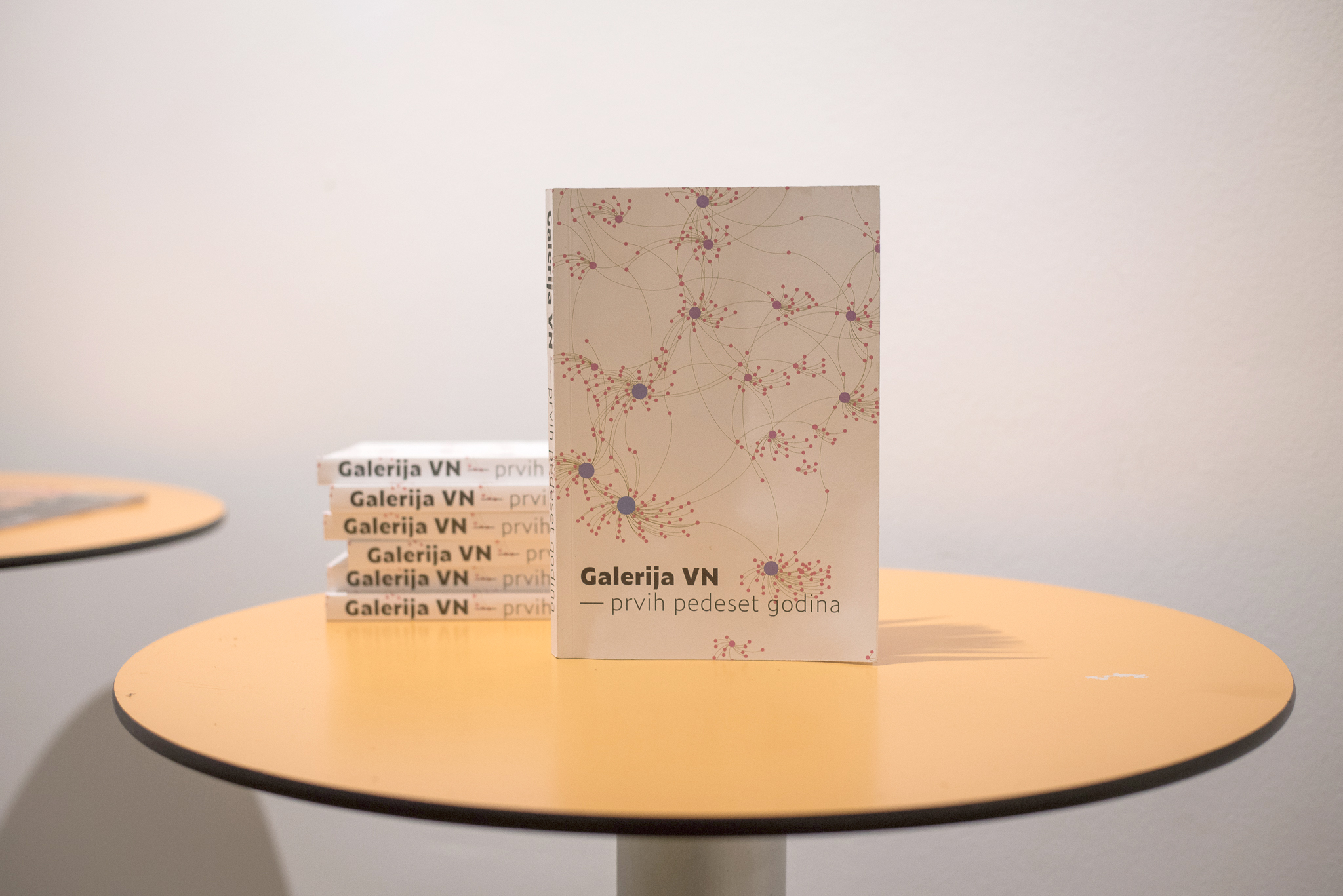 Monografija 'Galerija VN – prvih pedeset godina' / PETRA TRAVINIĆ