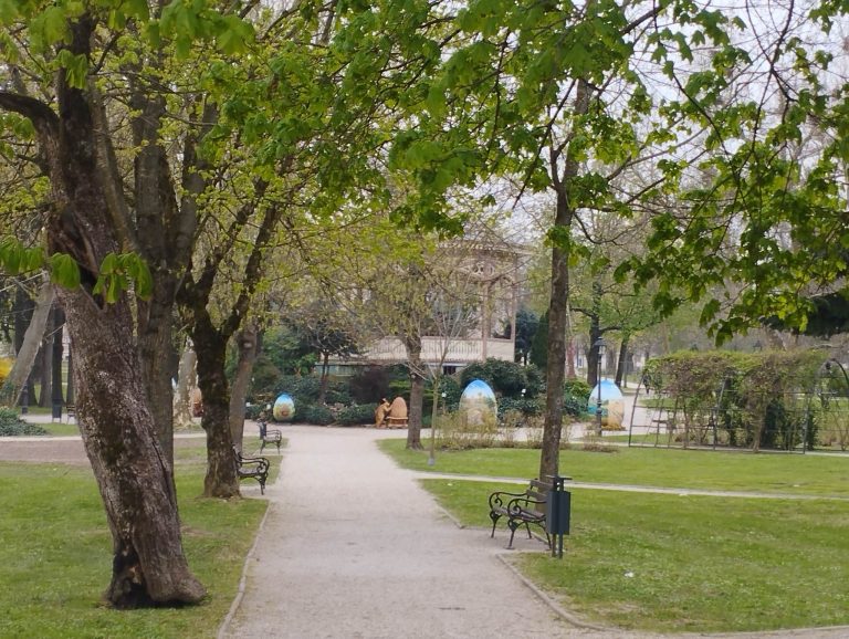 TIHI UBOJICA STABALA Klimatske promjene uzimaju danak i među koprivničkim stablima, a posljedice suše vidjet ćemo tek iduće godine