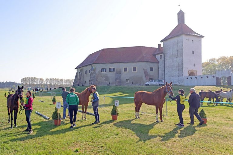 FOTO / Utrka u daljinskom jahanju privukla brojne posjetitelje