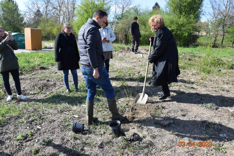 SALIKS – Spasilačka akcija u Legradu i kreativno stvaranje