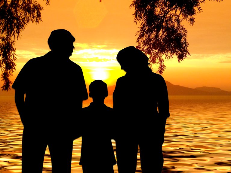 Mnogi biraju djecu kao što biraju automobil u salonu/ PIXABAY