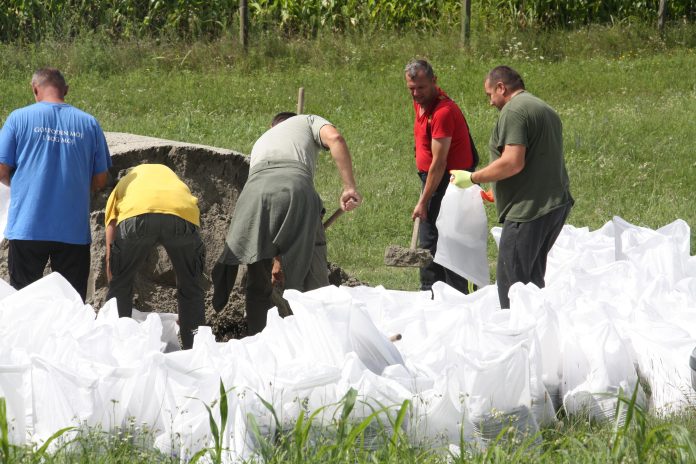 Postavljanje zečjih nasipa u Gabajevoj Gredi/ IVAN GROBENSKI