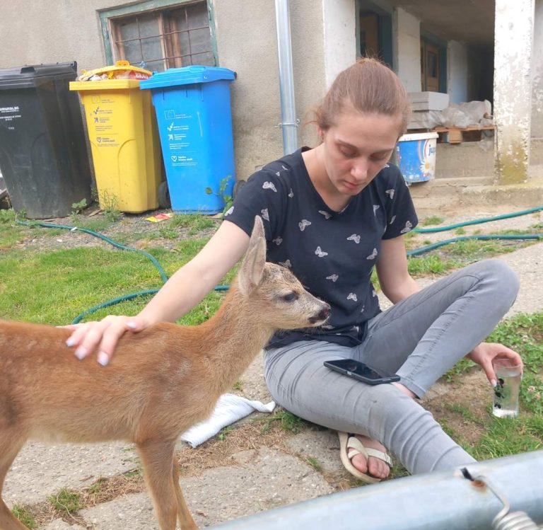 Srna Bambina ljubimac je obitelji Puhač i velika atrakcija u selu