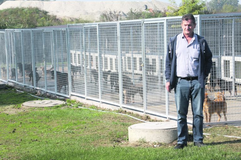 Koprivnička Veterinarska stanica brinut će o križevačkim napuštenim životinjama