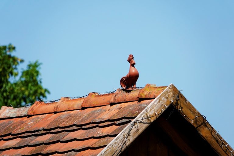 Grad nastavlja sufinanciranje postavljanja stiliziranog pijevca