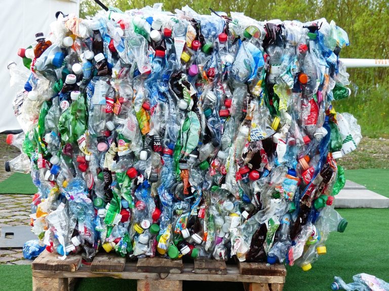 GLAS PRIRODE Jednokratna plastika u svakodnevici – obična navika s velikim posljedicama