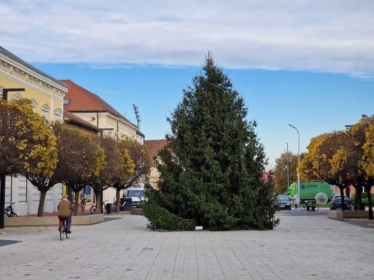 Počelo je. Trg bana Jelačića dobio bor, uskoro stižu kuglice i lampice