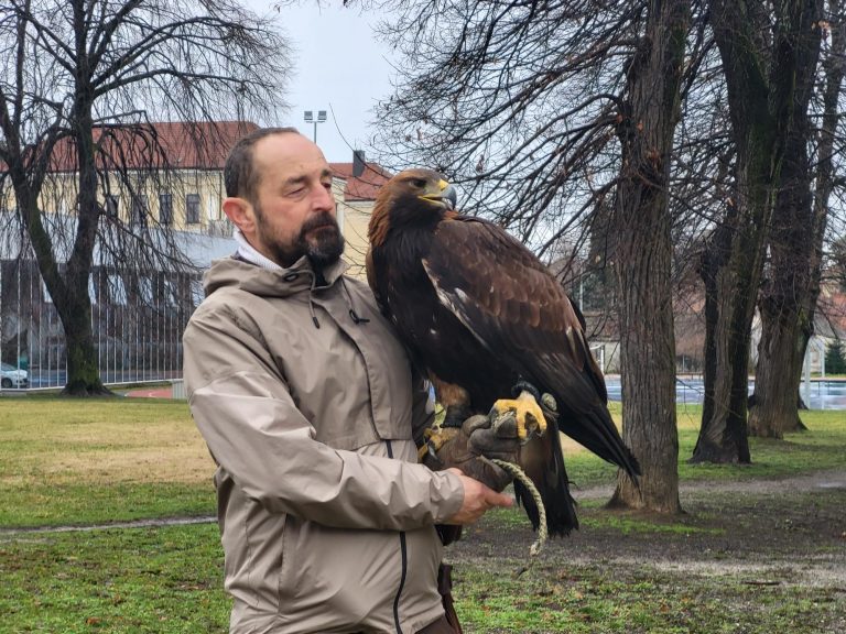 U grad stigle najveće more dosadnih vrana – jastreb i orao. Špela već patrolira na tri lokacije