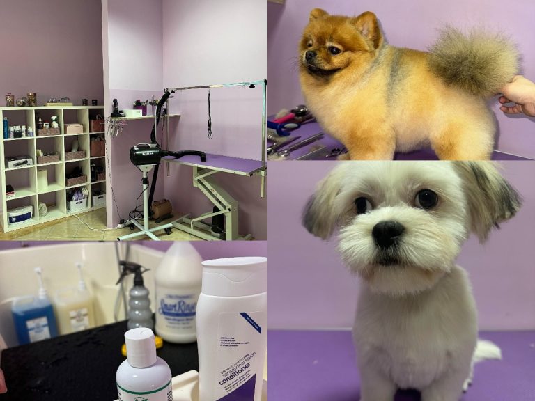 Evo tko je osvojio kompletan tretman za peseka u salonu ‘Grooming by Martina’