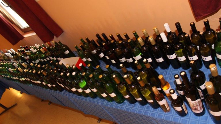 Graševina obitelji Miloš šampion Međunarodne izložbe vina Legrad Ortilos