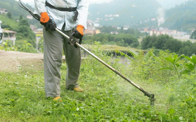 Mještani pretjerali s upotrebom herbicida? Općina: Ne špricajte travu na javnim zelenim površinama!
