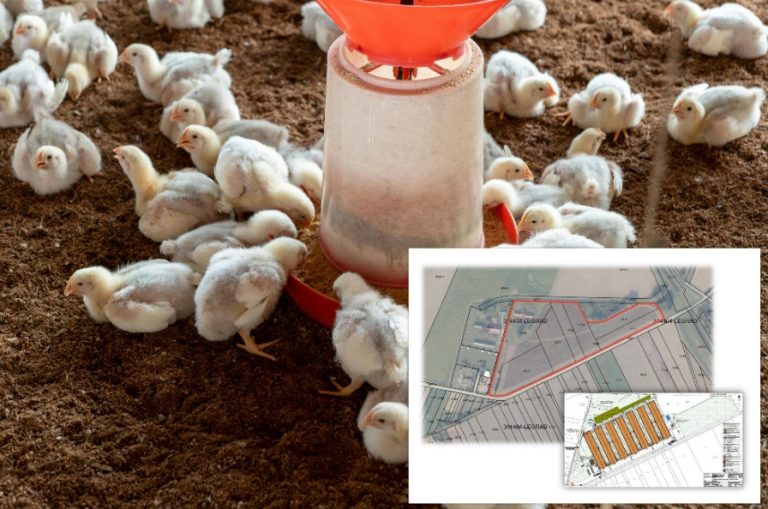 HOĆE LI SE OSJETITI? Gradi se velika farma za tov pilića, stanovnici pozvani da iznesu svoje mišljenje