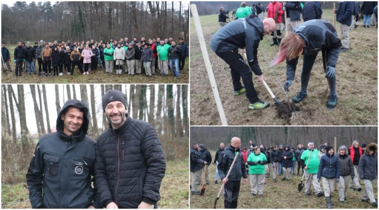 FOTO U Park šumi Borik zasađeno 2.700 stabala hrasta lužnjaka, Grgac: ‘Ovom donacijom se potiče ozelenjavanje našeg grada’