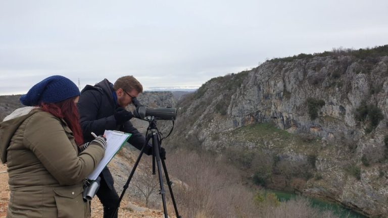 Dođite na zimsko prebrojavanje ptica na Dravi, evo gdje je okupljanje