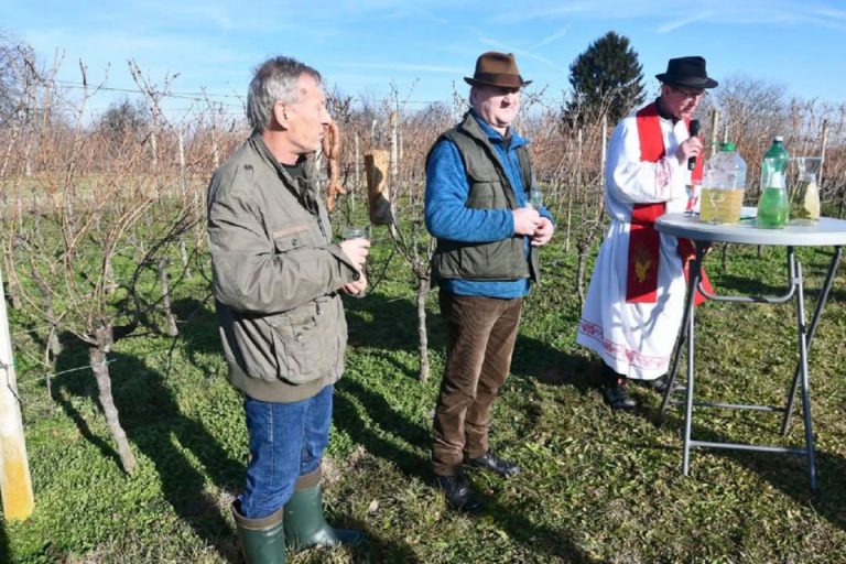 Vinogradari pozvali na izložbu vina, evo kad se donose uzorci