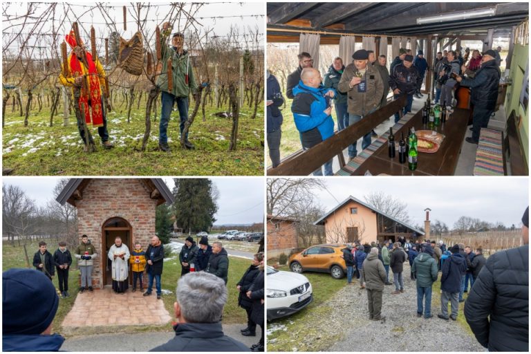 FOTO: VESELI BREG Fra Ivan Široki blagoslovio vinograde, a Alen Ban trsje