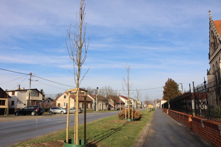 FOTO Na području Križevaca posađeno 101 novo stablo