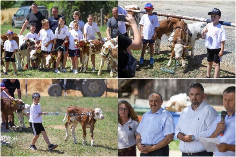 FOTO Bambino kup u Goli okupio najmlađe uzgajivače i oduševio sve posjetitelje