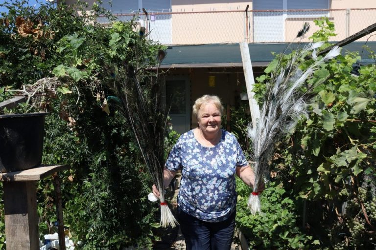 FOTO: PREDIVNA GESTA Obitelj Petričević donirala više od 100 sadnica za uređenje gradskih površina
