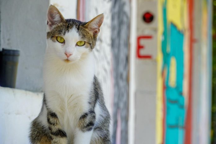 542647599_1172784064882131_5728610845303710027_n