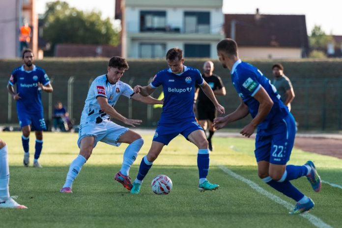 Izvor: Slaven Belupo