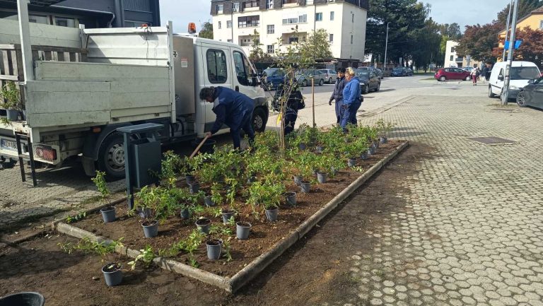 FOTO: ZELENI ‘MAKEOVER’ Nove sadnice uljepšale šetnicu u Opatičkoj ulici