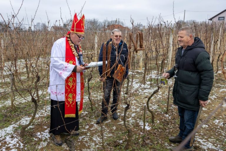 Udruga vinogradara i voćara Šiljer organizira Vincekovo, evo detalja