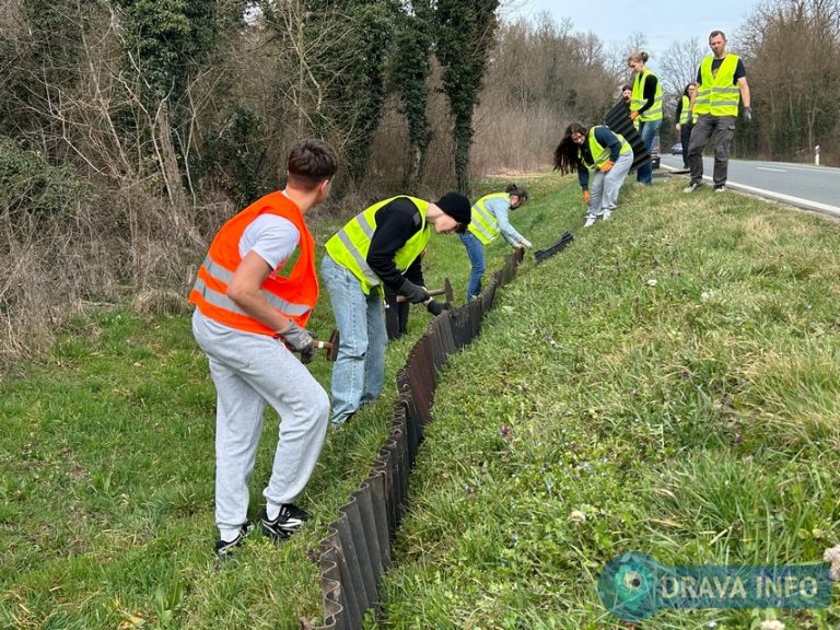 Akcija spašavanja žaba na cesti prema Đelekovcu počinje sutra, evo kako im i vi možete pomoći da sigurno završe u bari