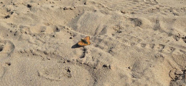 FOTO Sunčano vrijeme idealno je za posjet Đurđevačkim pijescima