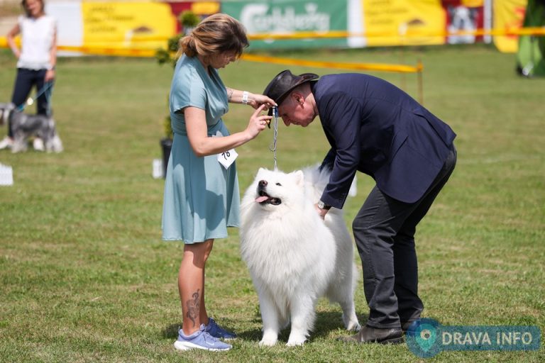 FOTO Održana izložba pasa CAC Koprivnica 2026