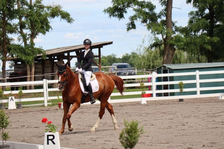 FOTO Na Ergeli Galop u Peterancu traje natjecanje u dresurnom jahanju