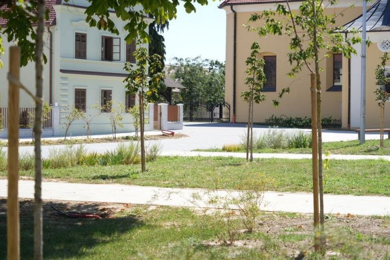 FOTO Koprivnica dobila novo zeleno lice – posađeno 211 stabala, uređeni vrtovi i nova pješačka zona